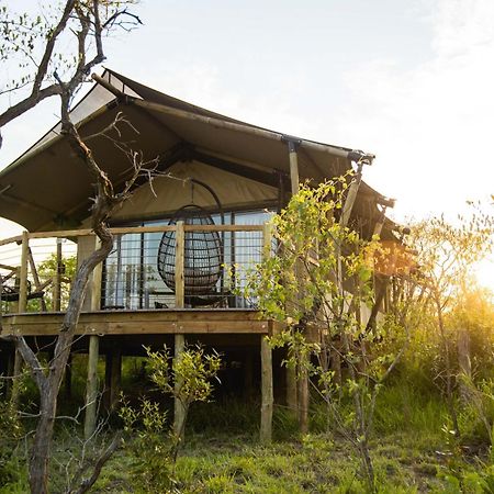 Mdluli Safari Lodge Хейзивю Екстериор снимка